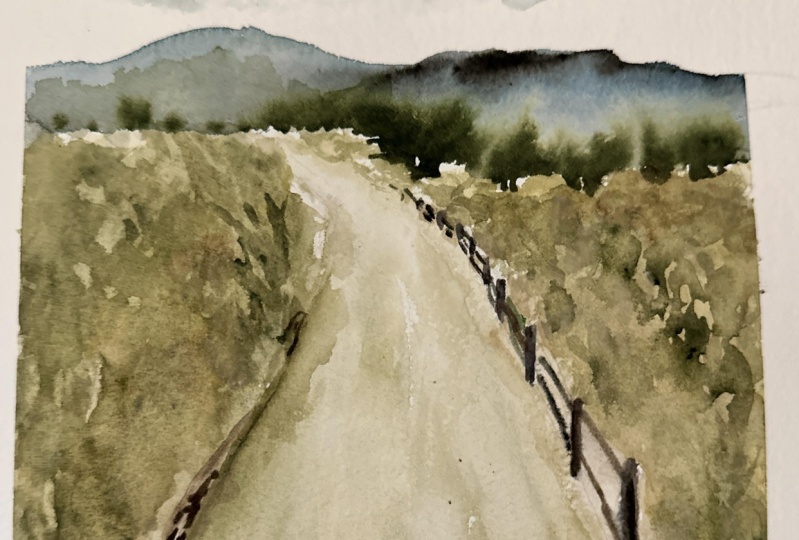 Loose beach path landscape