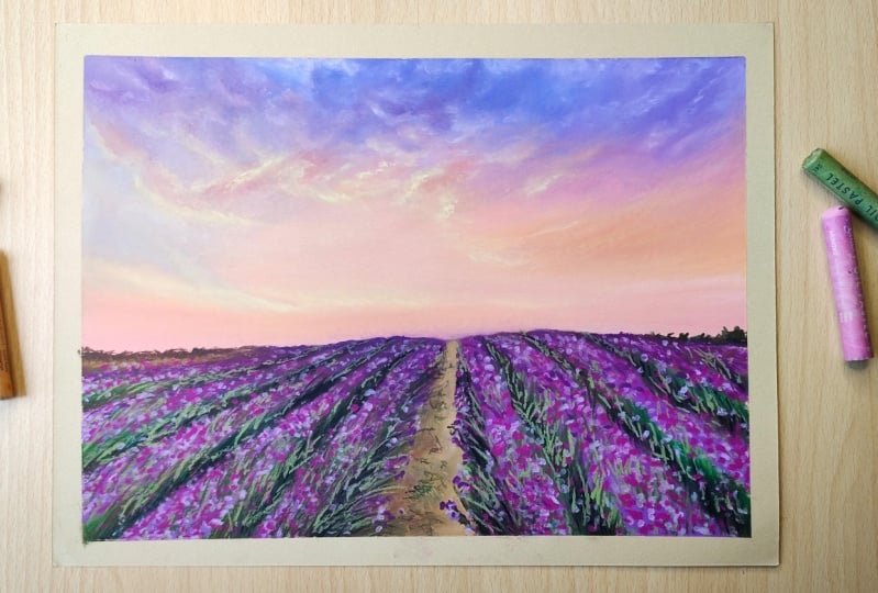Lavender Fields