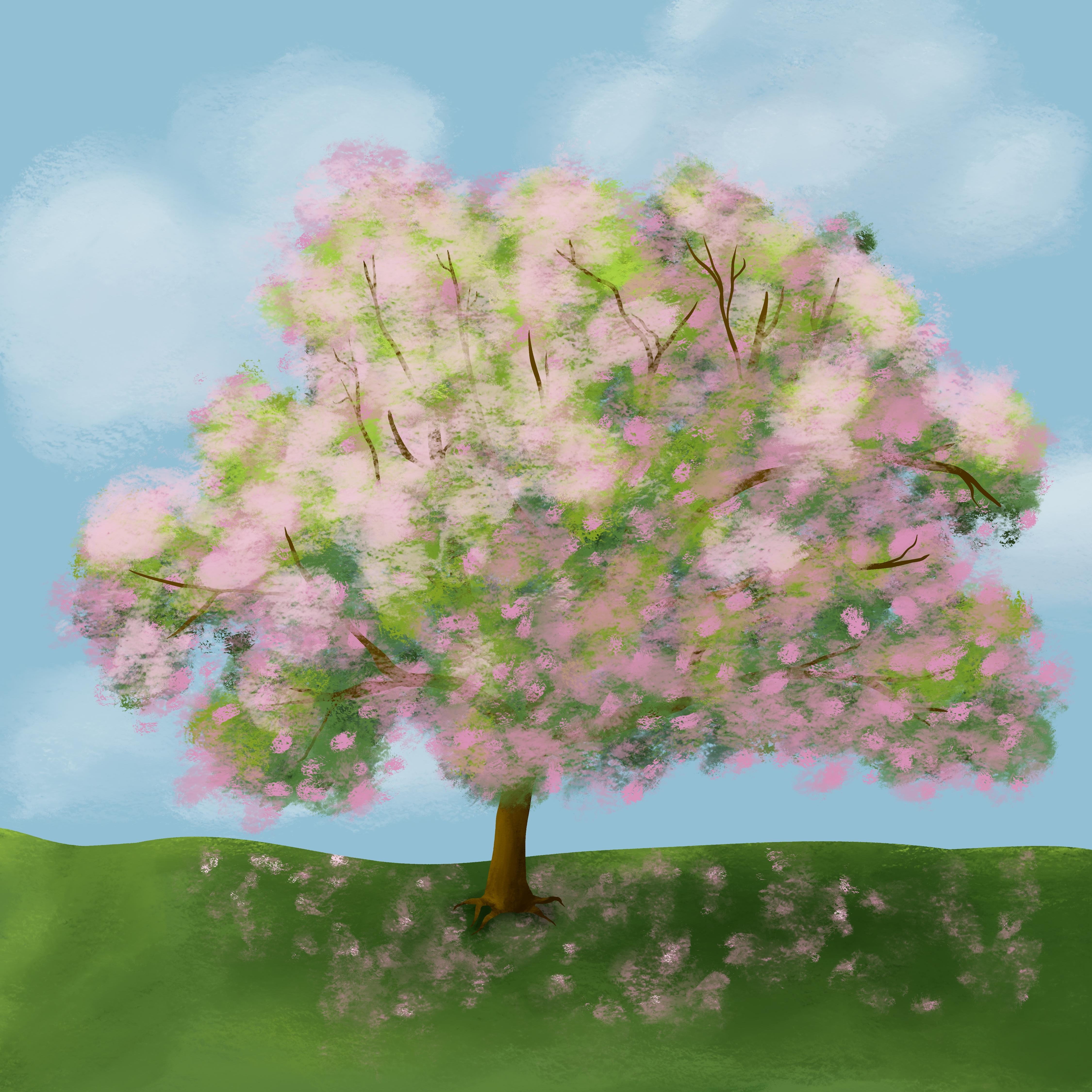more-projects-from-class-img