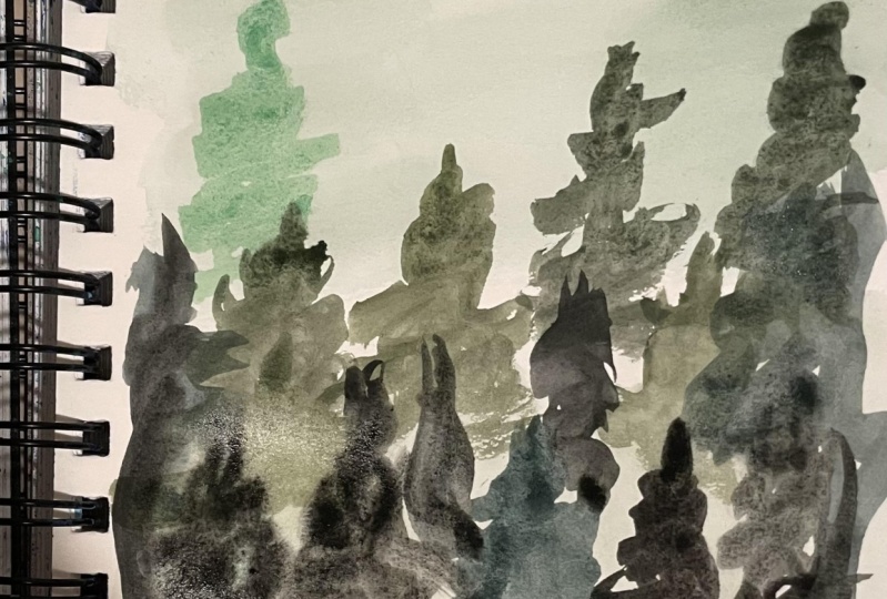 First forest