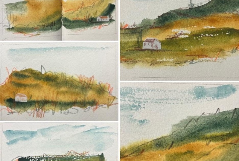 First attempt with loose landscape