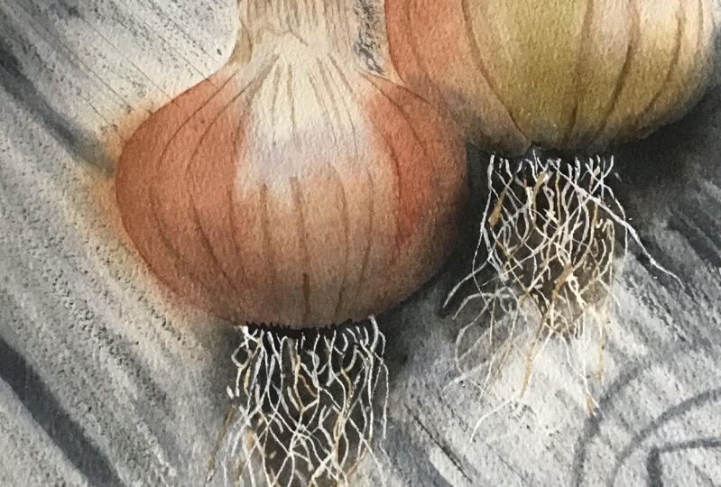 From bulb to brush