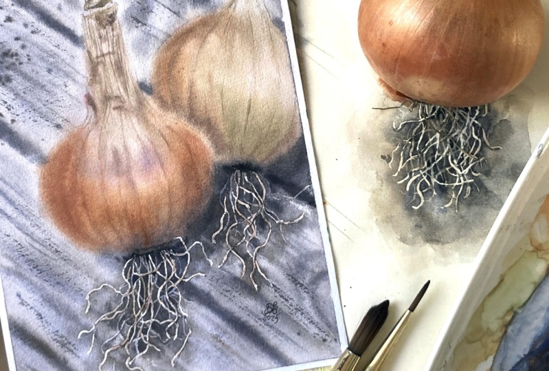 Watercolor Onions