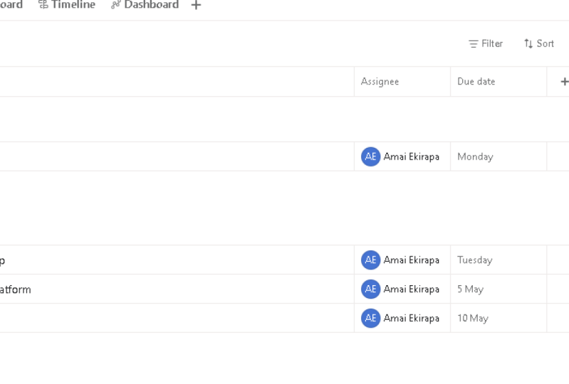 Asana Project