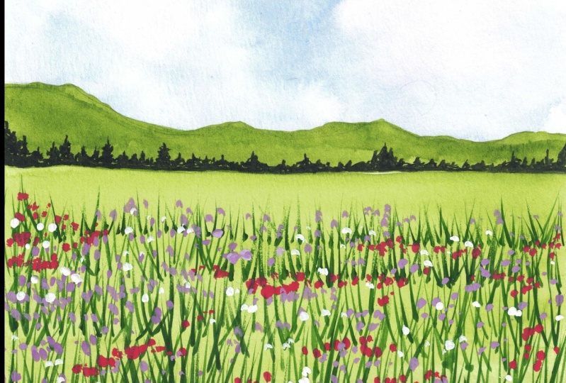 Floral Field