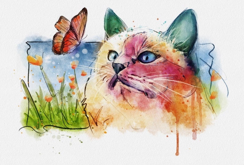 Gatinho