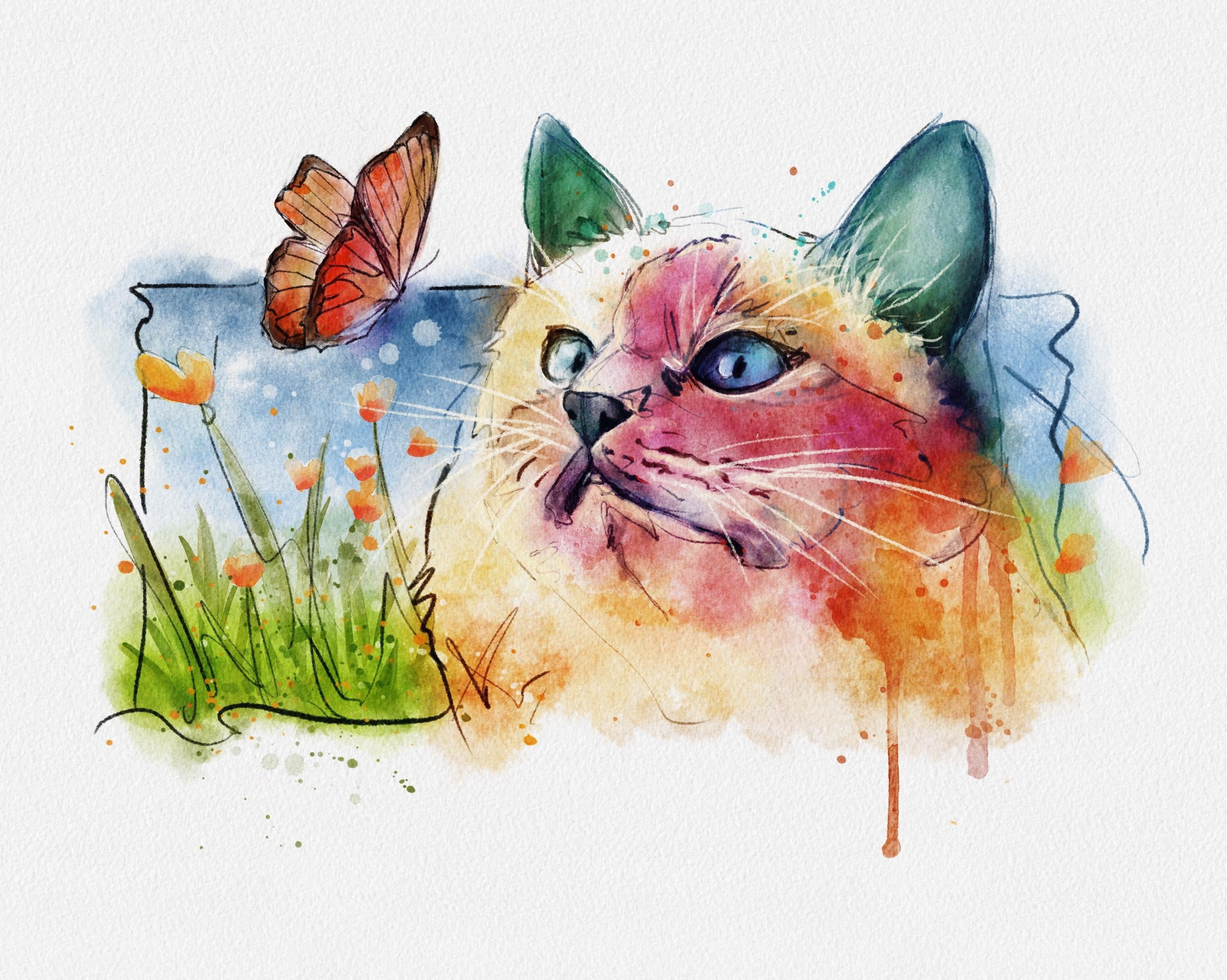 Gatinho - student project