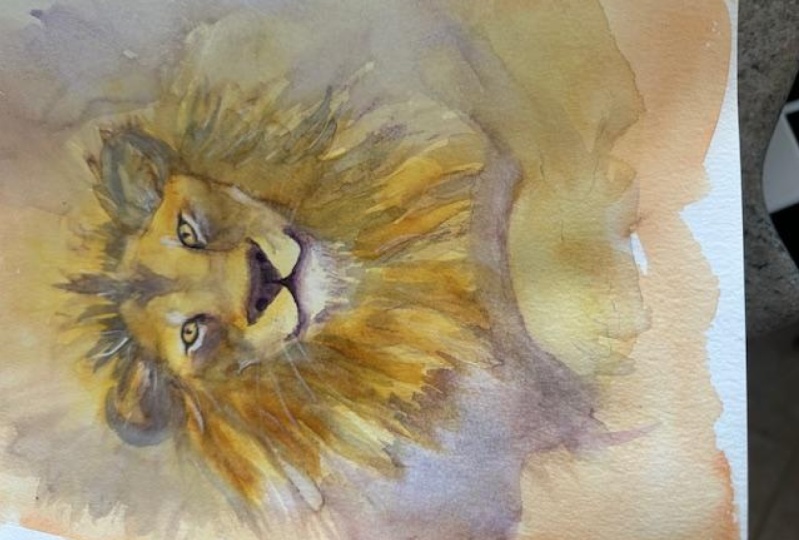Keens Annis Lion