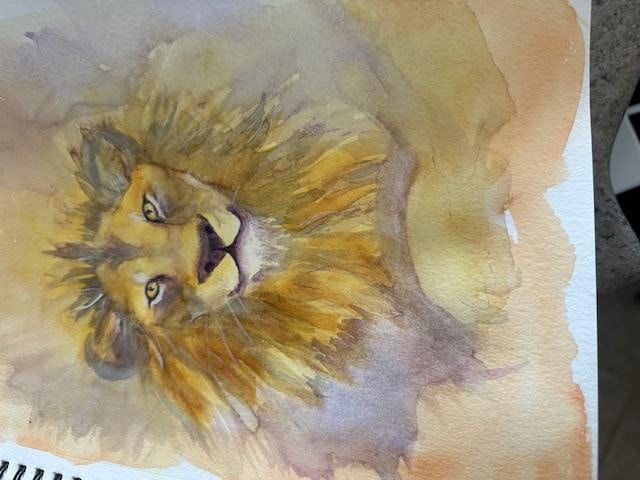 Keens Annis Lion - student project
