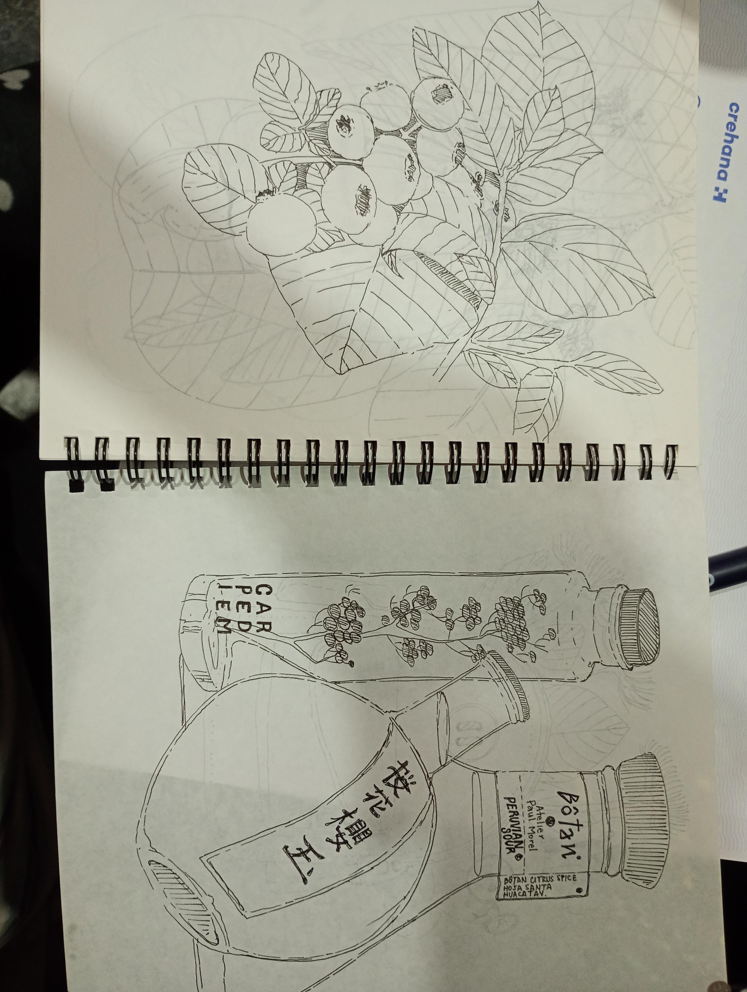 more-projects-from-class-img