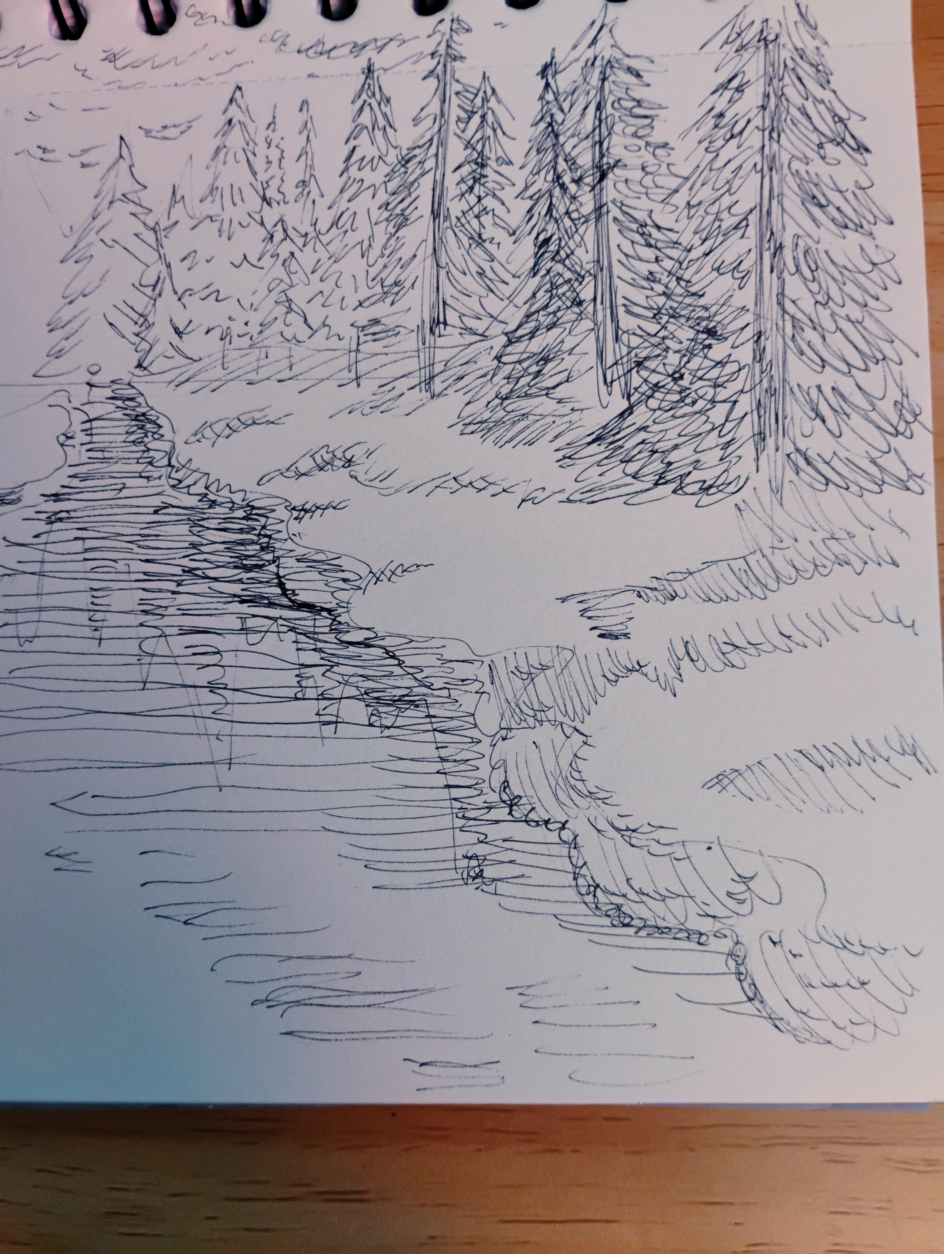 more-projects-from-class-img