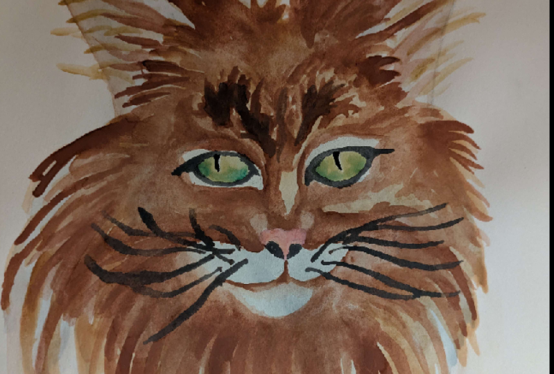 first cat