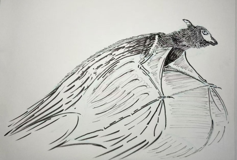 Finding My (Ink) Lines