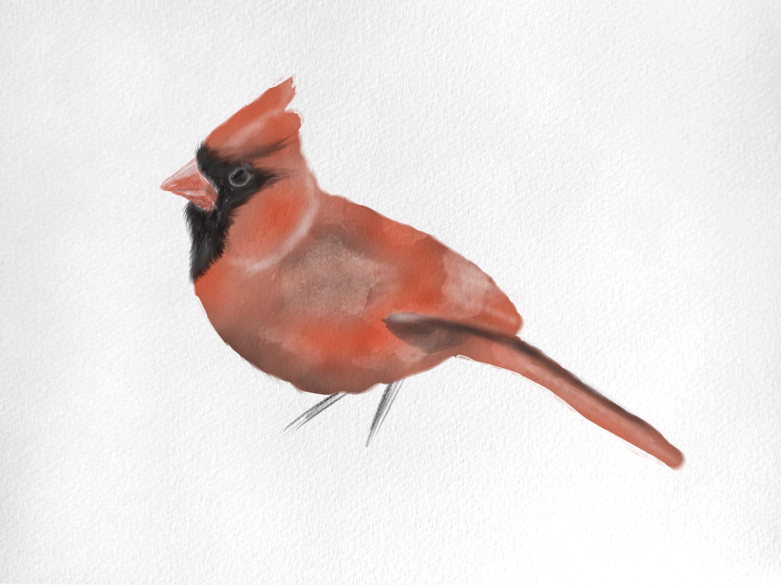 Cardinal - student project