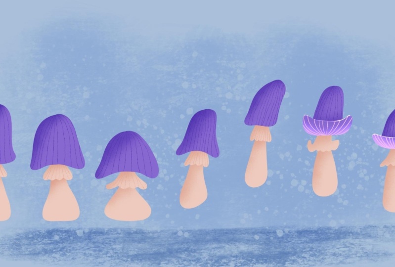 bouncy mushroom