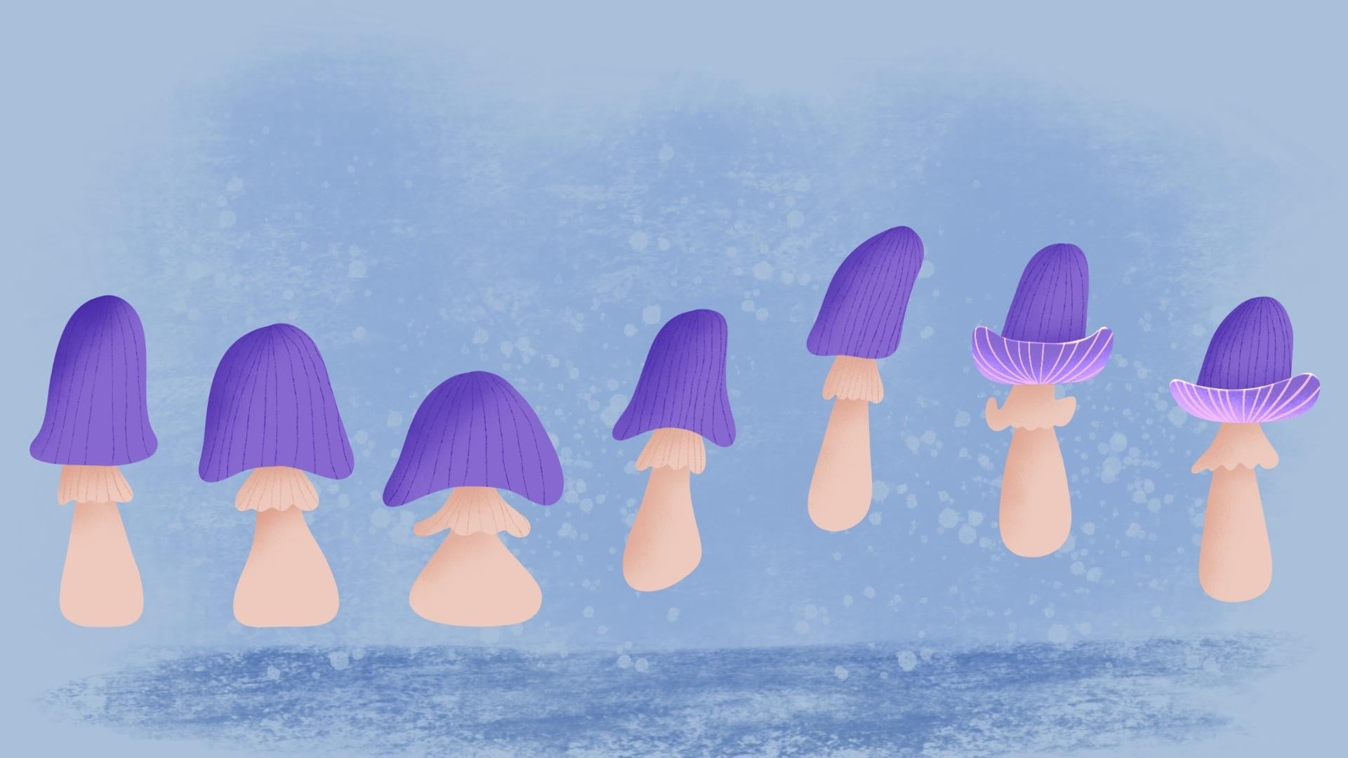 bouncy mushroom