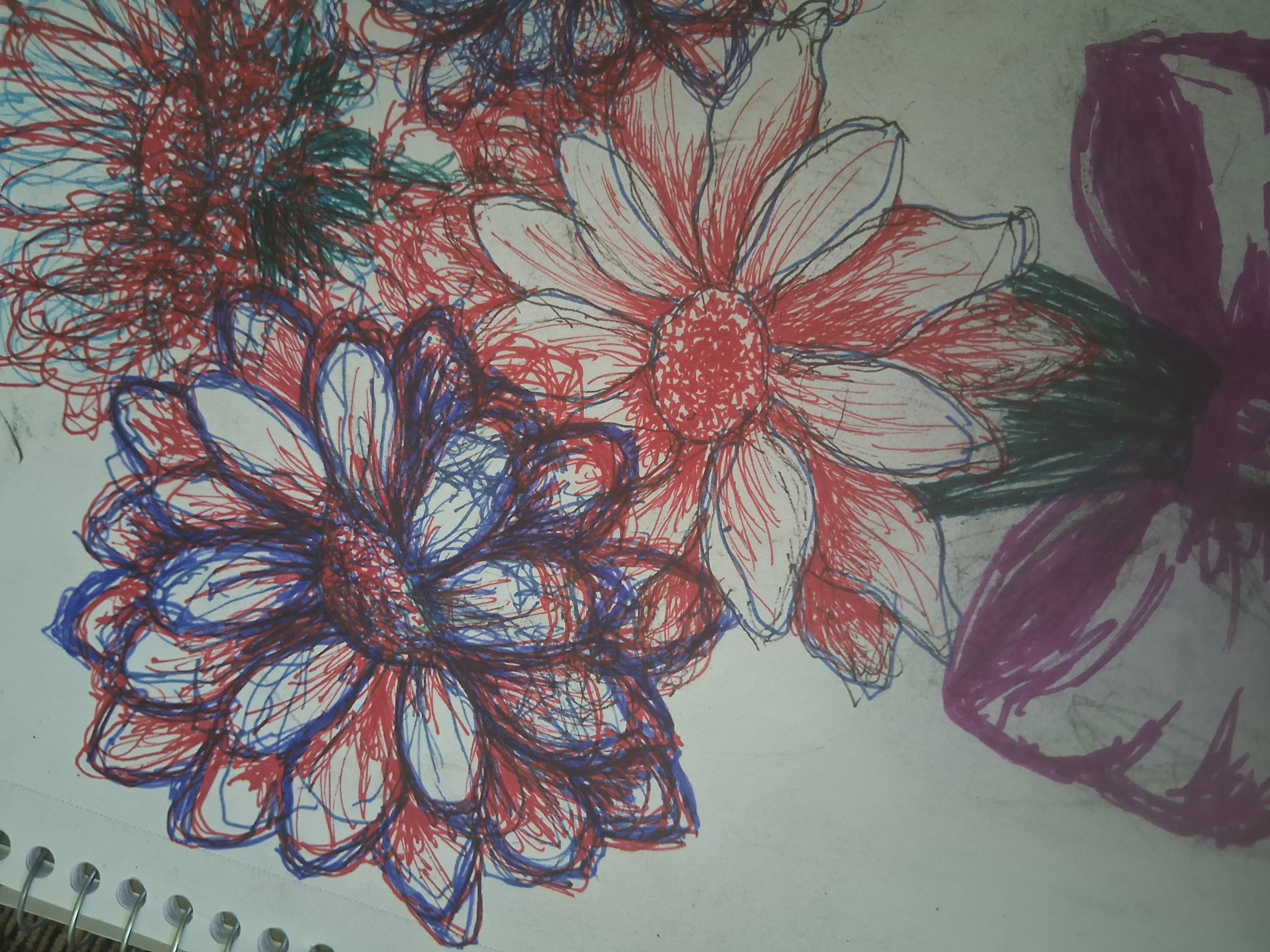 more-projects-from-class-img