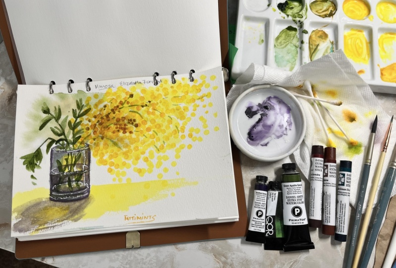 Mimosa