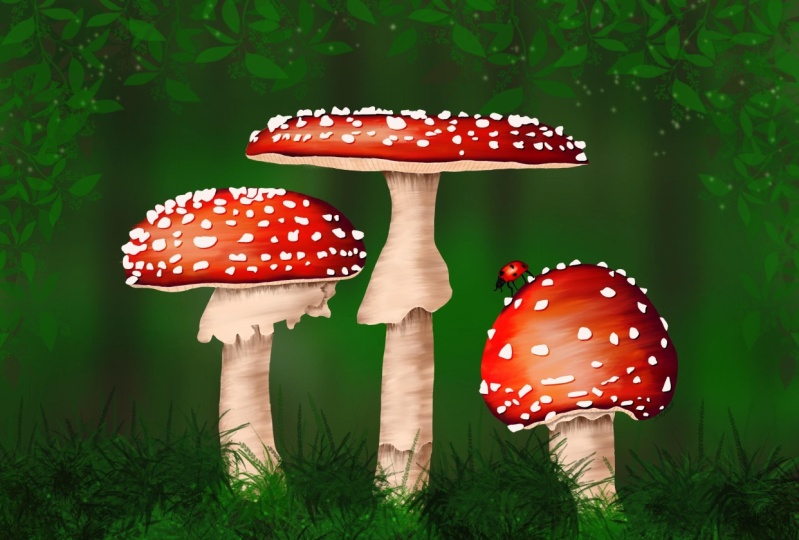 Mushrooms