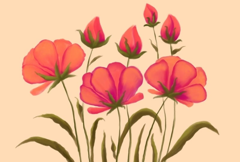 Red wildflower blooms