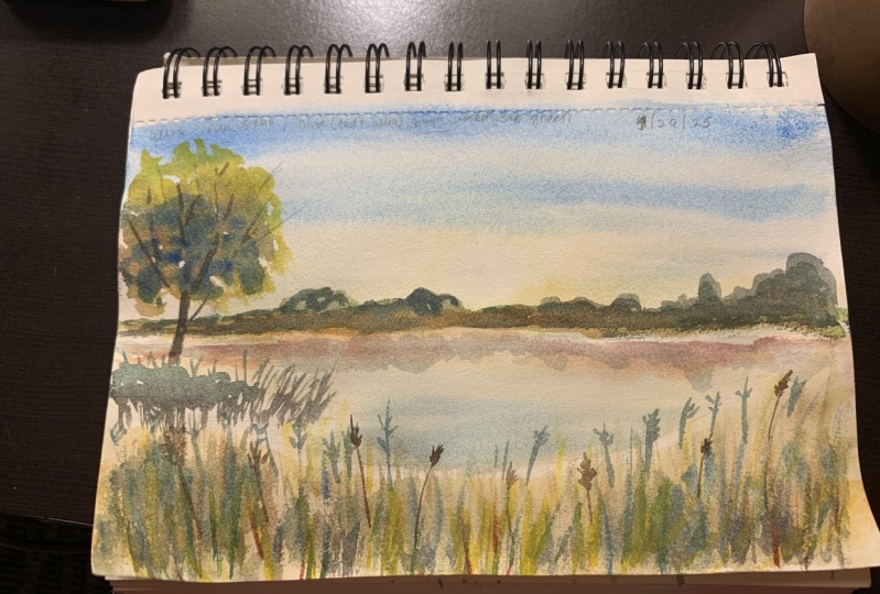 Summer Evening Lake