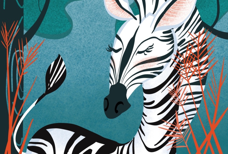 Far beyond Zebra