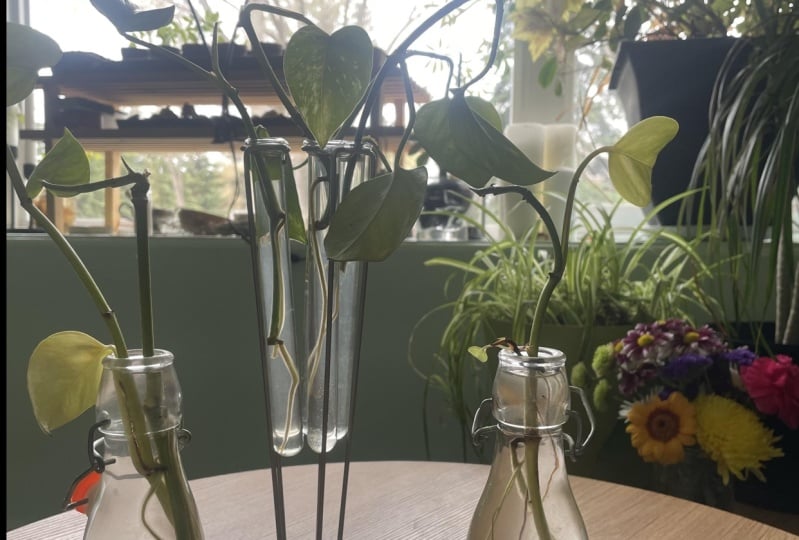 Propagations
