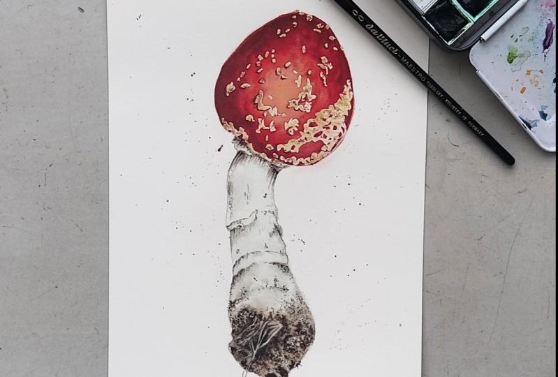Fly Agaric Mushroom