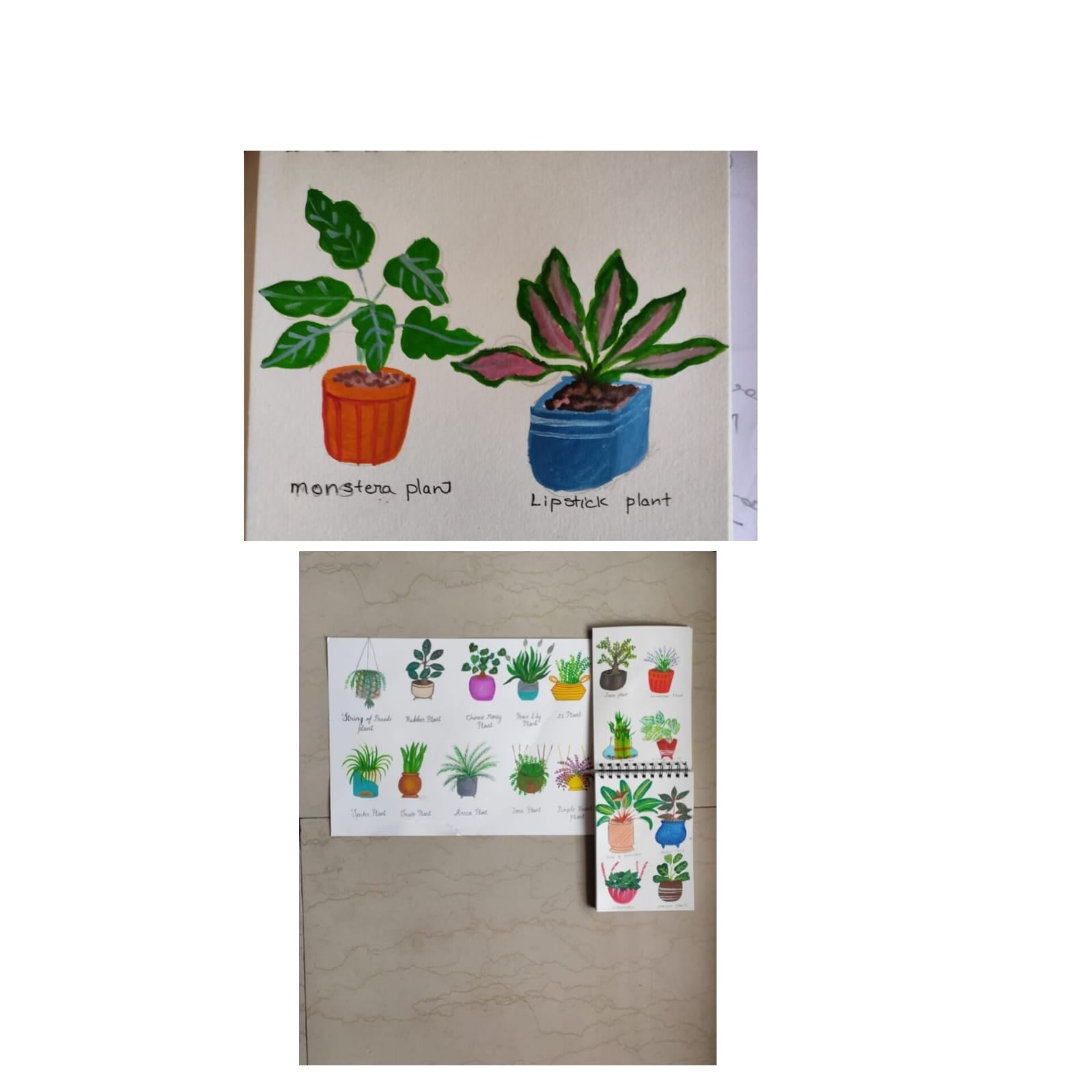 more-projects-from-class-img