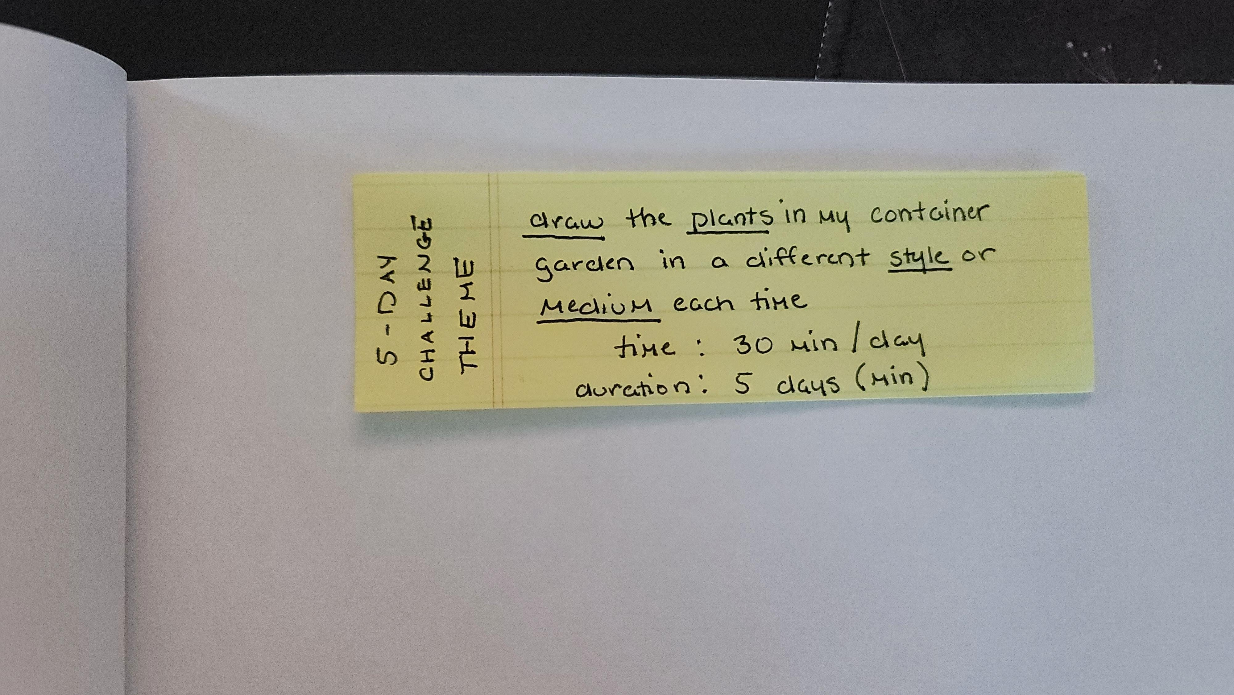 more-projects-from-class-img