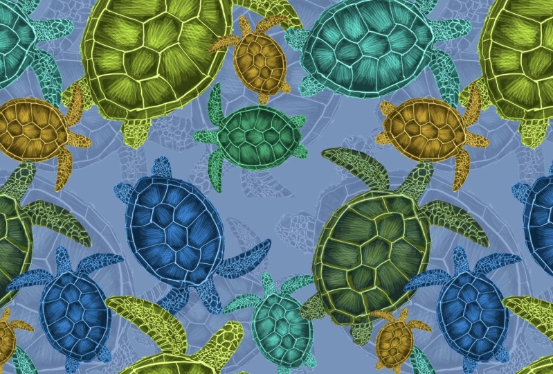 Turtle Bay