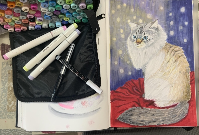 Drawing pets with markers