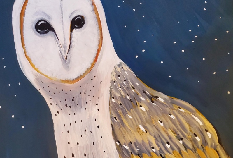Owl