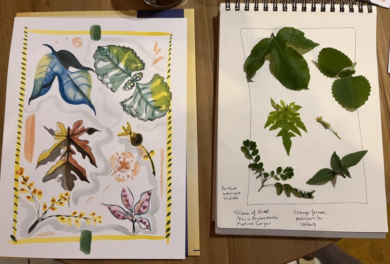 New Caledonia’s plants