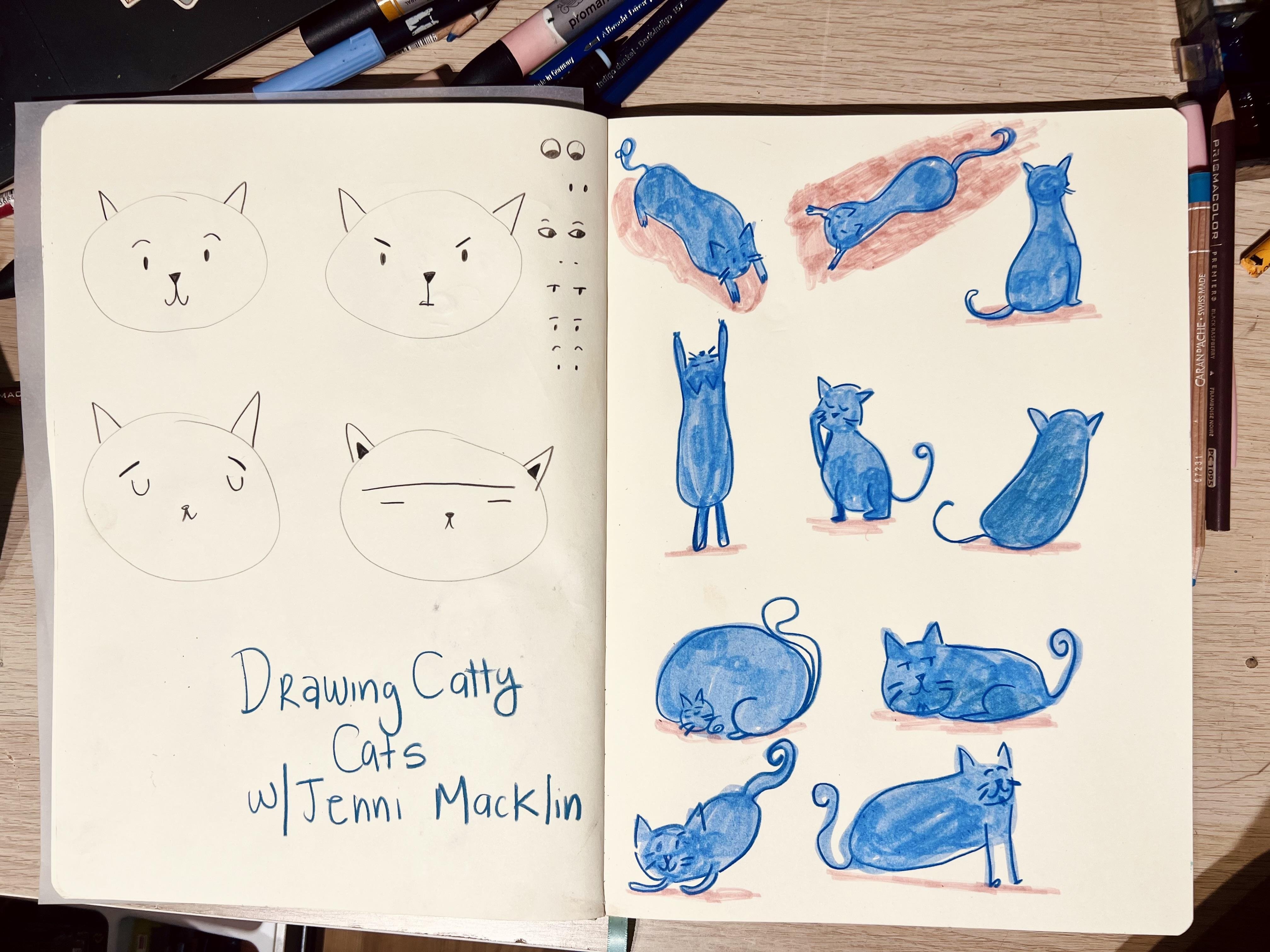 Catty cats - student project