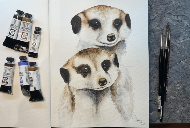 Sweet meerkats