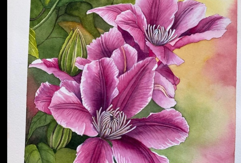 Chris' Clematis