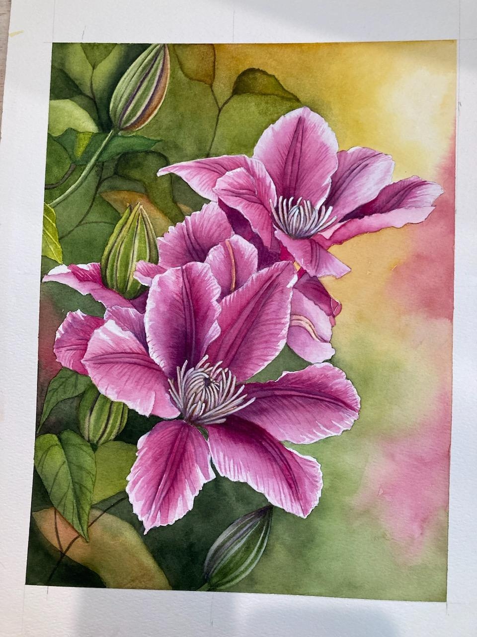 Chris' Clematis - student project