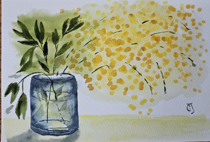 W/c mimosa blooms