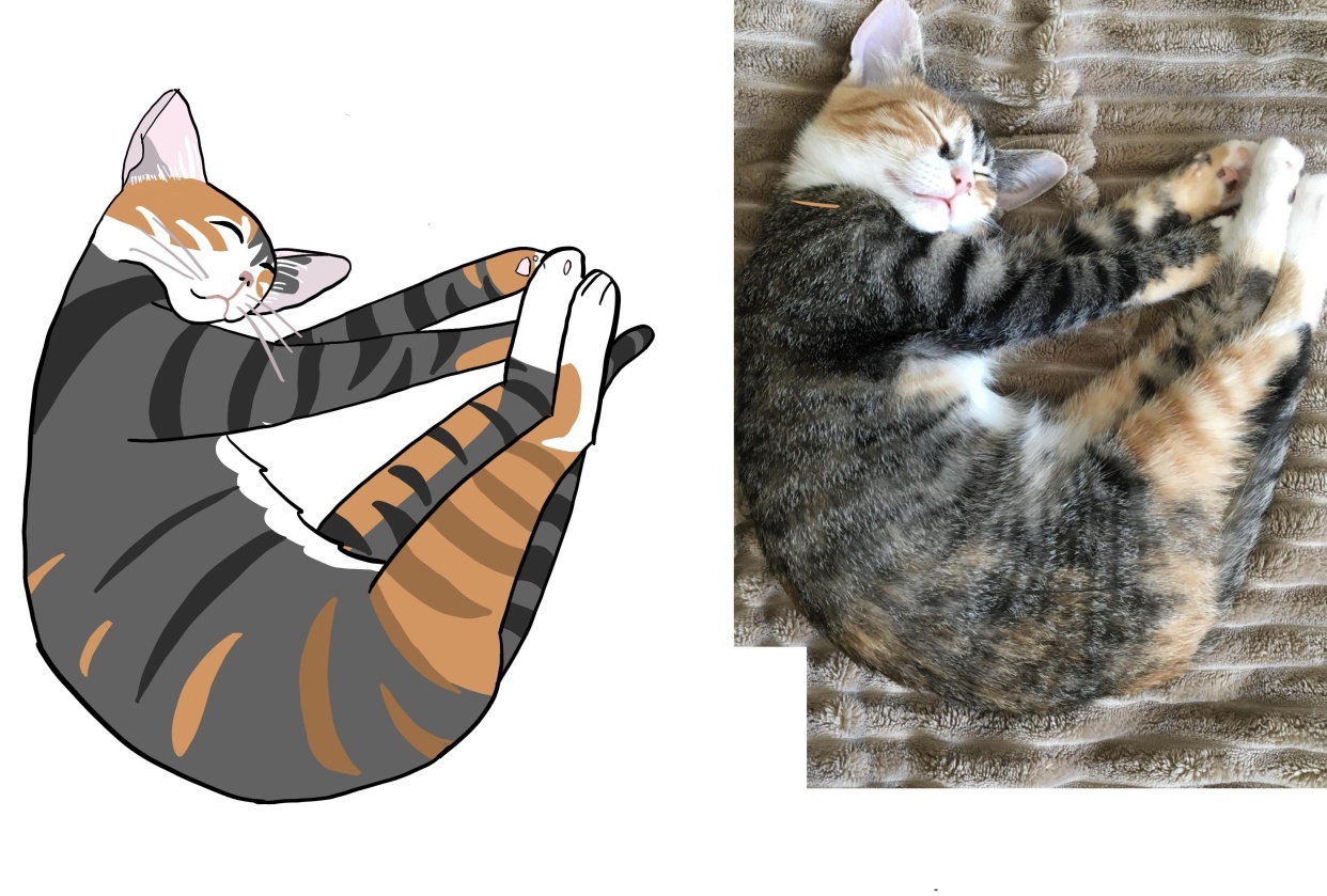 Sleepy Kitten - student project