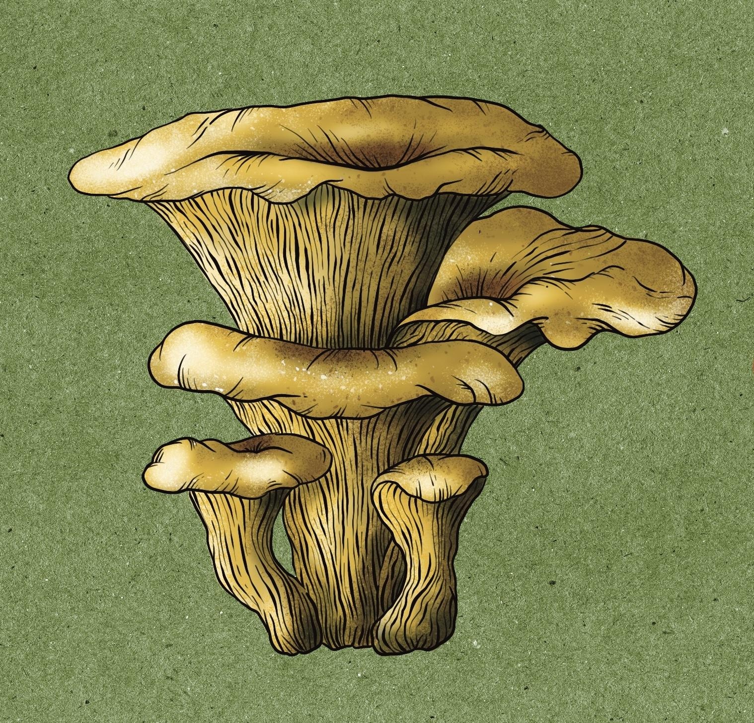 more-projects-from-class-img