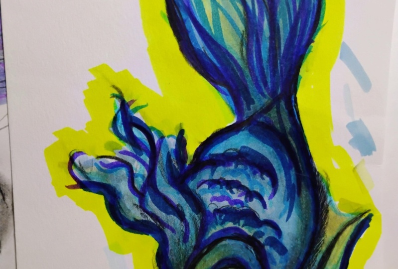 Beta fish