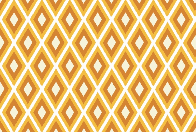 Jenna's First Ikat