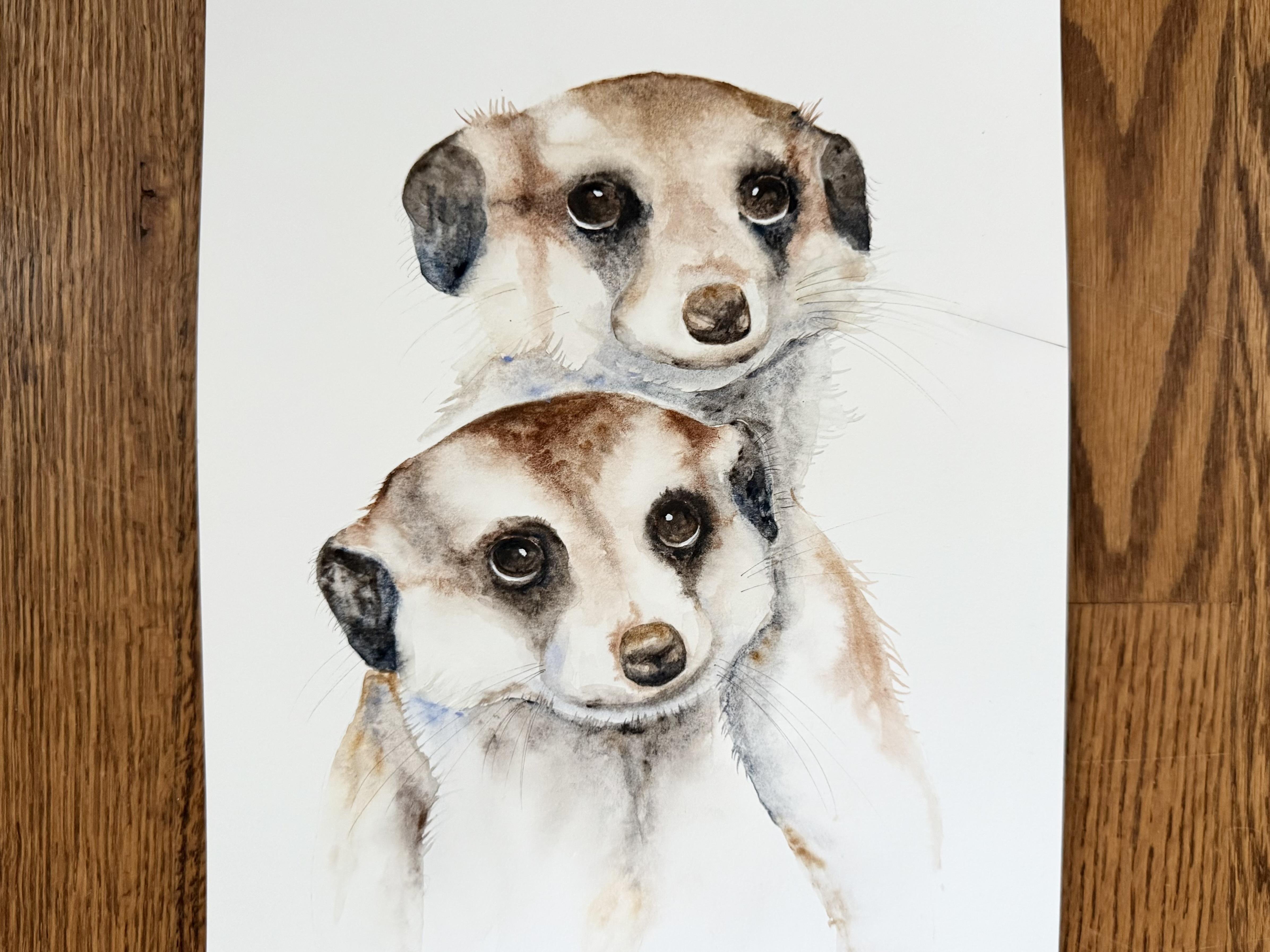 Sweet Meerkats - student project