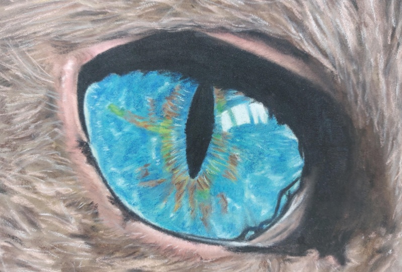 Cat eye