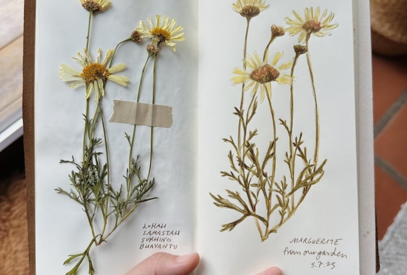 Simple Sketchbook Idea