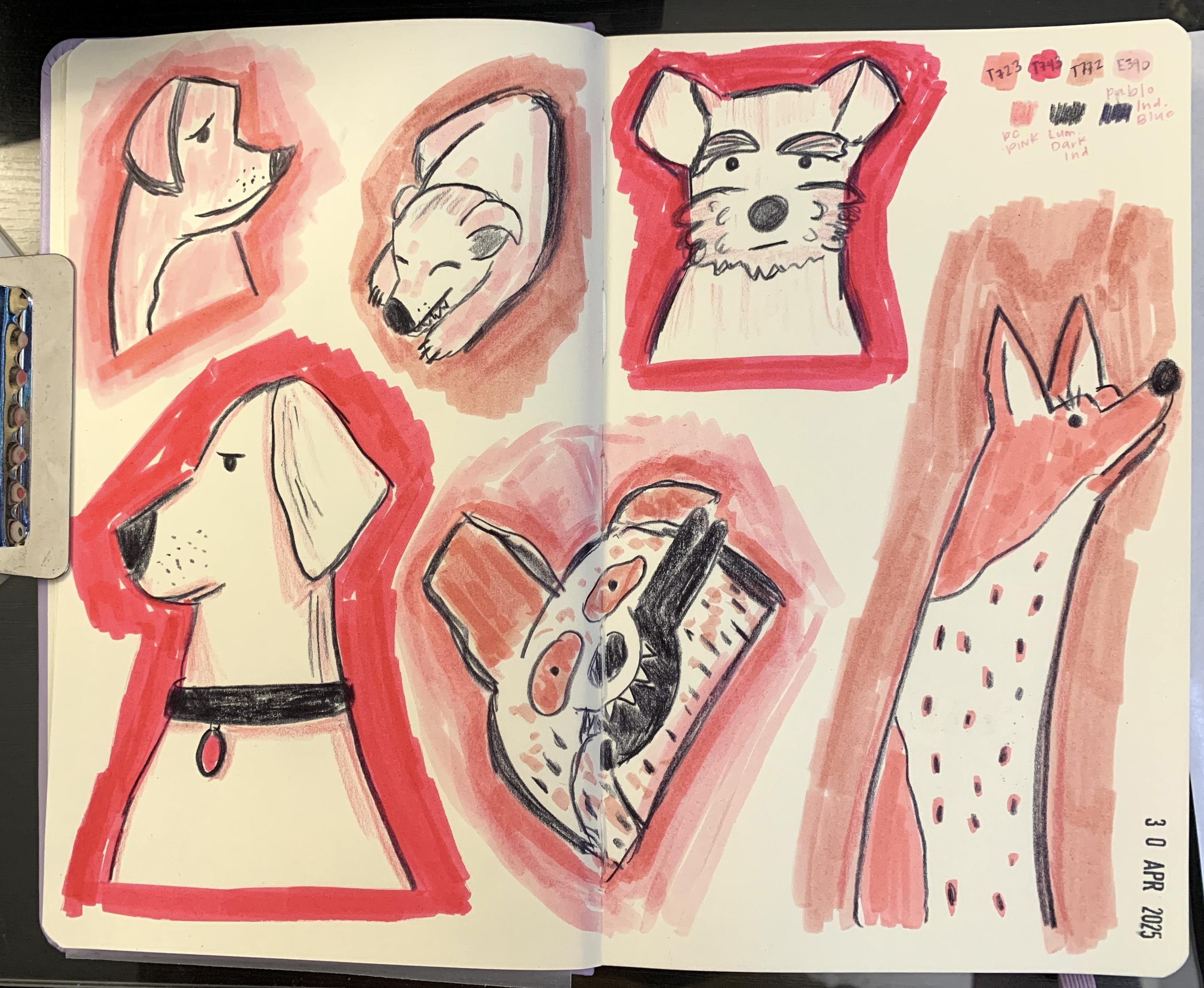 more-projects-from-class-img