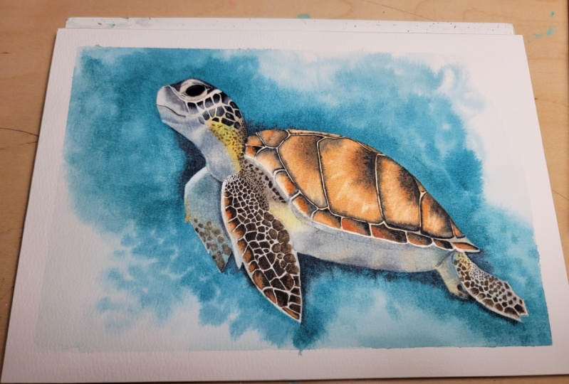 Sea turtle
