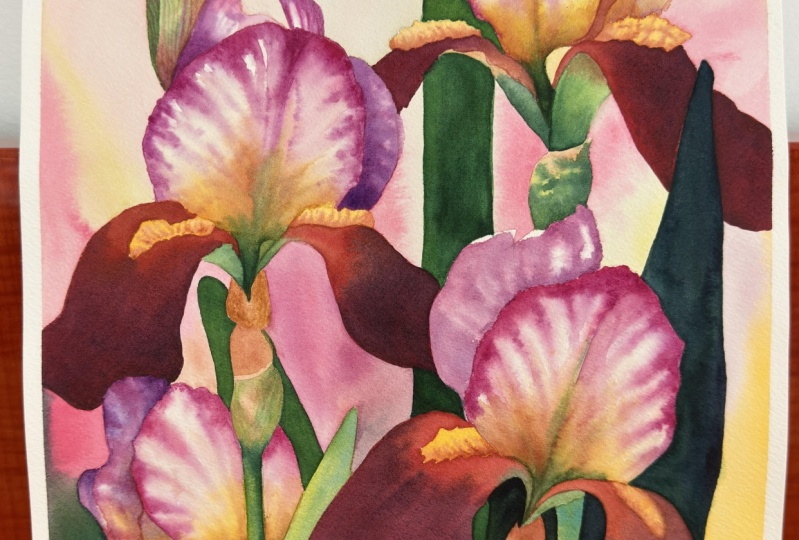 Iris by Romana