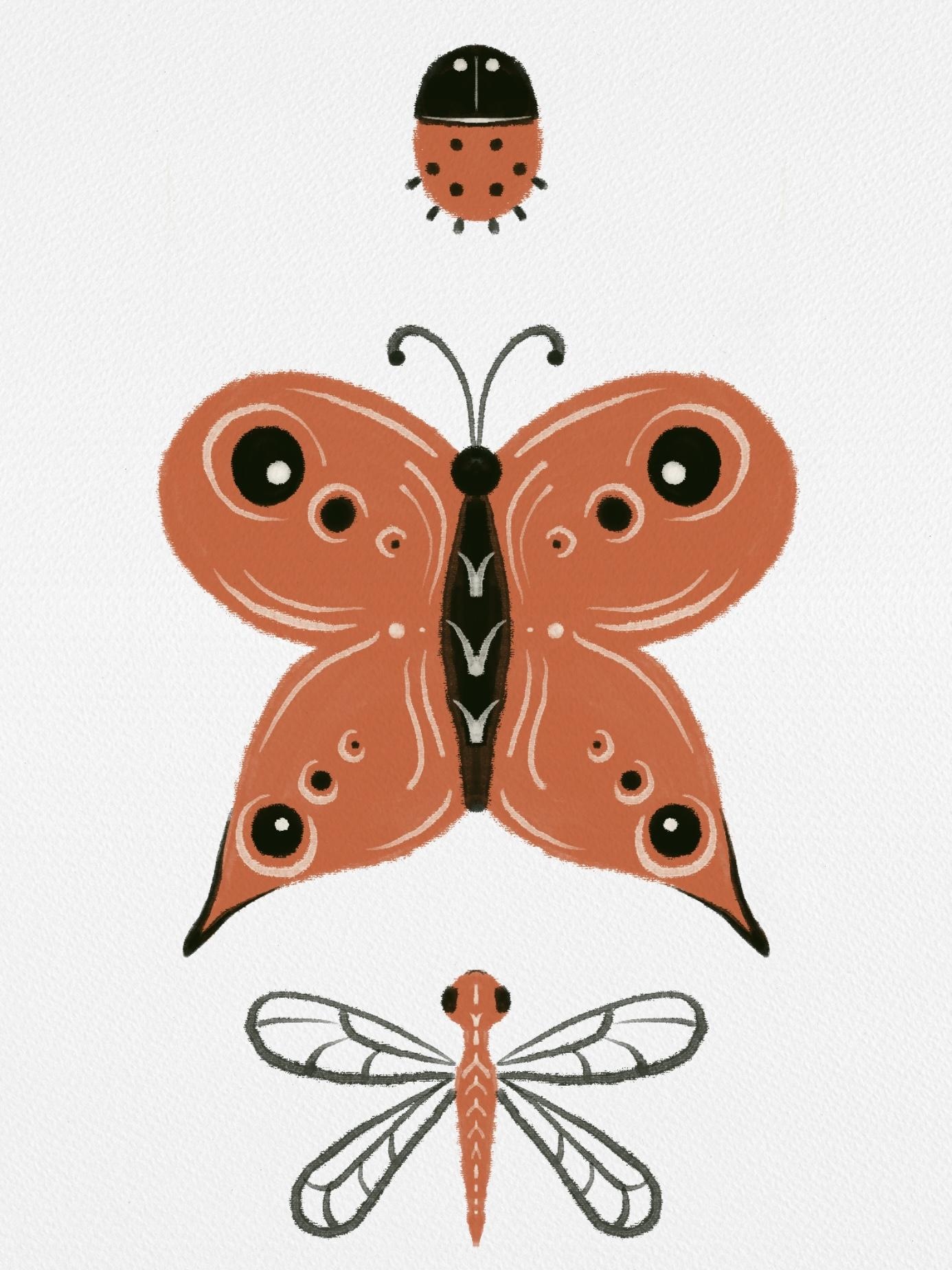 more-projects-from-class-img